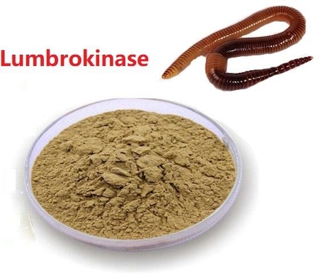 Низкая цена Lumbrokinase порошка API сырцовая извлекает безопасное сырье Lumbrokinase доставки