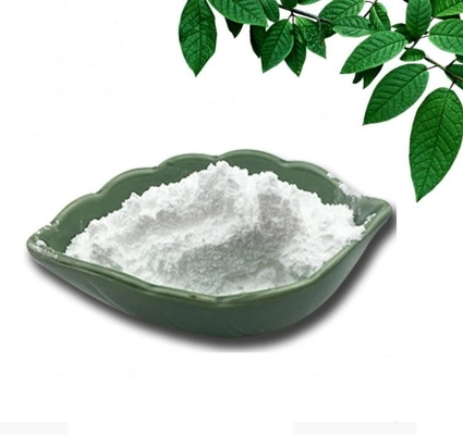 горячий продавая верхний качественный поставщик фарфора 613-93-4 N-METHYLBENZAMIDE